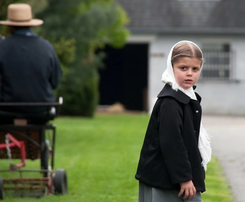 This image captures the striking contrast between the simple, traditional life of an Amish girl and the broader ideals of liberal democracy, emphasizing individual freedom and modernity. Explore how these two worlds coexist and the values they represent.