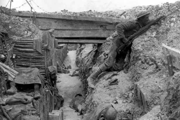 A stark glimpse into the trenches of World War I, epitomizing the brutal realities of conflict. This image underscores the enduring 'causes of war'—territorial disputes, political rivalries, and the human propensity for domination.