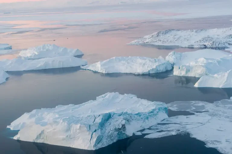 Injusticia ambiental: Un paisaje de icebergs derritiéndose a la deriva en las aguas del Ártico, un recordatorio contundente del impacto desproporcionado del cambio climático. Mientras que las naciones industrializadas son las que más contribuyen a las emisiones globales, las comunidades vulnerables—tanto humanas como ecológicas—soportan la peor parte del aumento del nivel del mar y la degradación ambiental.