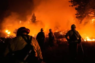 Injusticia ambiental: Un grupo de bomberos enfrenta un incendio forestal descomunal, con sus siluetas iluminadas por el intenso resplandor naranja de las llamas.