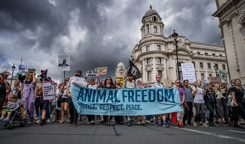 Animal rights protesters march in defense of non-human life, invoking principles of justice, respect, and peace. Such demonstrations broaden the concept of political voice by challenging dominant ethical hierarchies and calling for systemic transformation.Photo by Alisdare Hickson (CC BY-SA).
