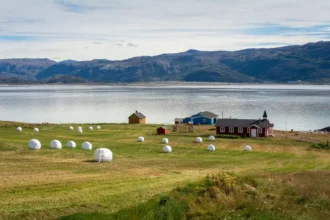 A coastal settlement in southern Greenland: daily life intertwines subsistence traditions with emerging forms of local development. Photo by Monitotxi (CC BY-SA).