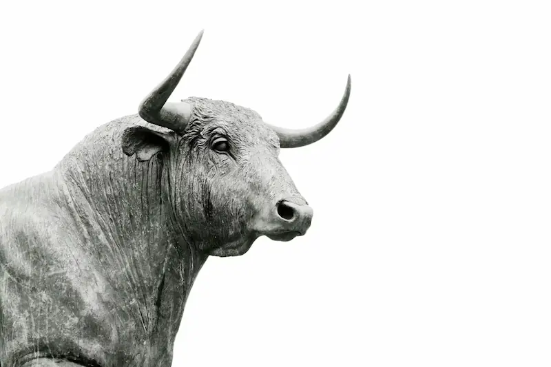 The bull represents rising markets, as a bull thrusts its horns upward—an image associated with growth and optimism in stock market.