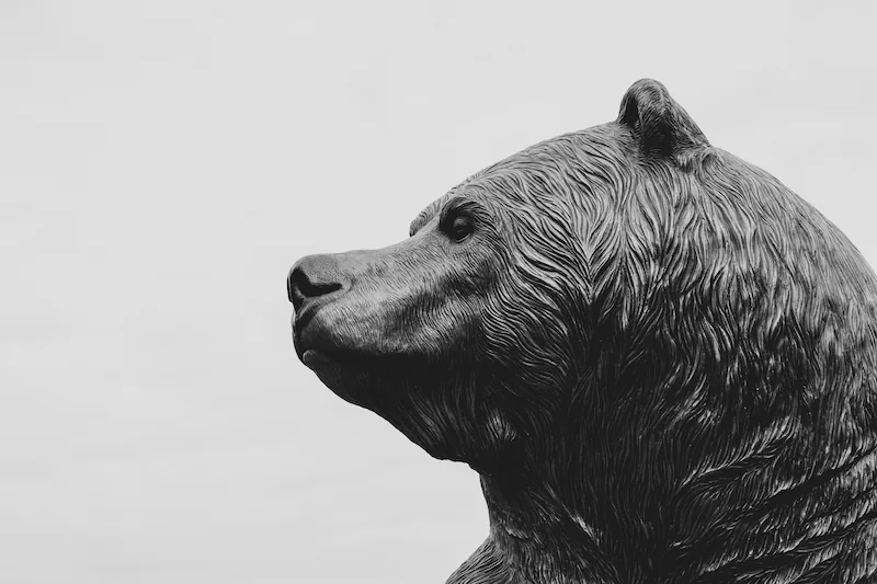 The bear symbolizes declining markets, as a bear swipes its paw downward—an image linked to falling stock market prices. Photo by Sean-Benesh.