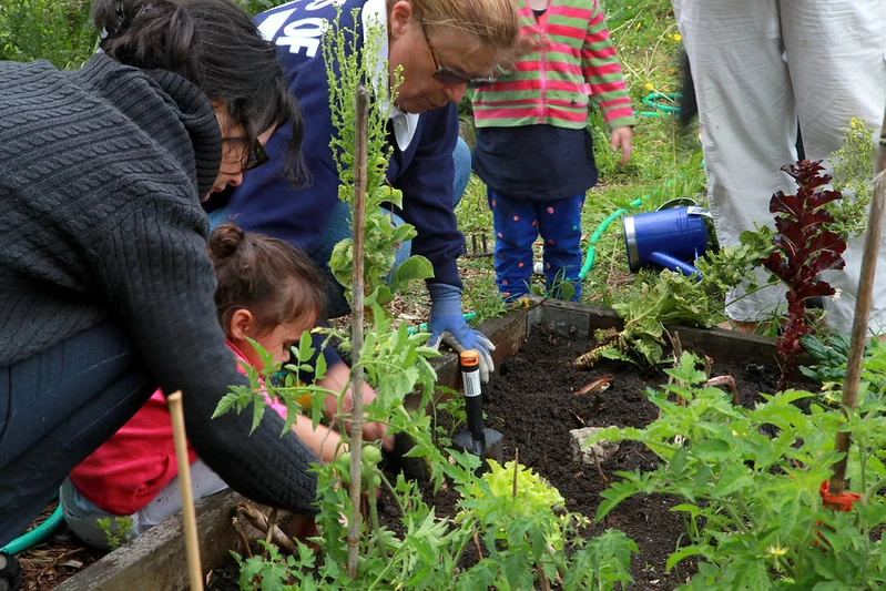 Intergenerational participation in a community garden.