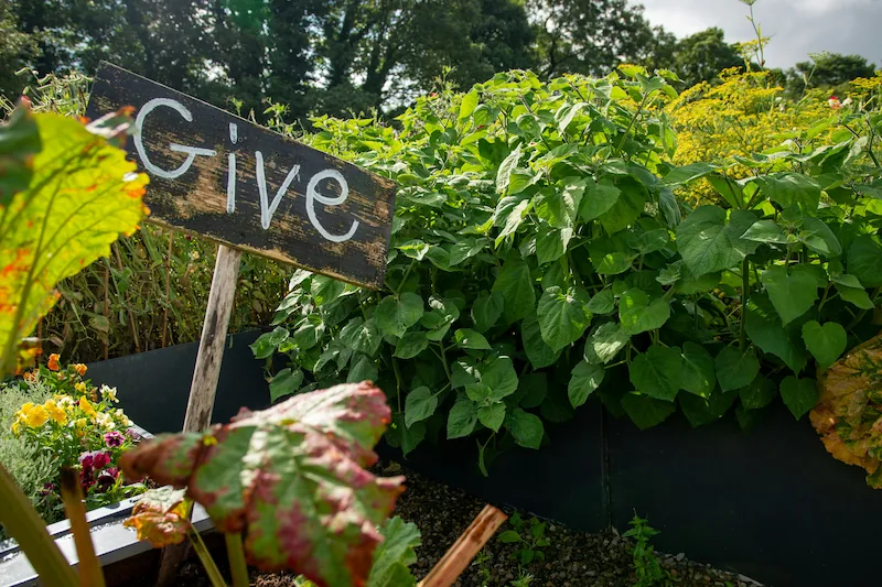 Ethical commitments made visible in collective growing practices.