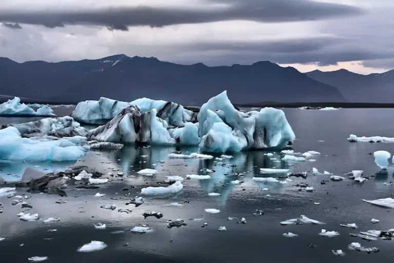 Ice floes in Arctic coastal waters.